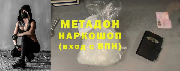 сатива Узловая