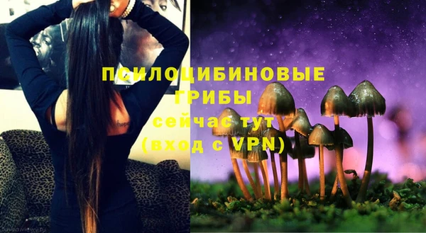 дмт Бугульма