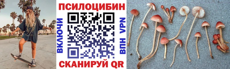 купить наркоту  Дигора  Галлюциногенные грибы Magic Shrooms 